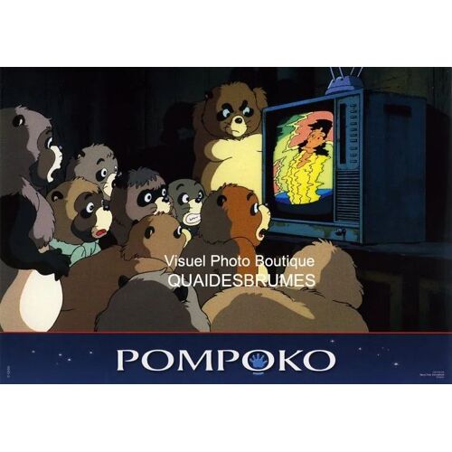 Pompoko - Heisei Tanuki Gassen Pompoko : Une Photo D'exploitation Cinématographique - Format 20x28,5 Cm - Animation De Isao Takahata, Avec Makoto Nonomura, Yuriko Ishida, Akira Kamiya - 2006