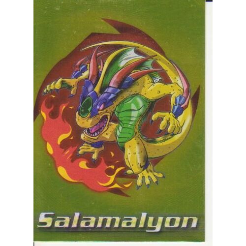 Salamalyon Carte N°34 Vo