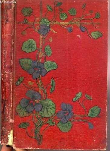 Fastes De La Saintete En France Au Xixe Siecle - Recueil De Biographies Anedoctiques Dedie A La Jeunesse