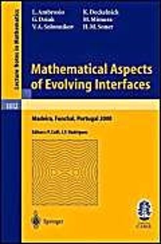 Mathematical Aspects Of Evolving Interfaces
