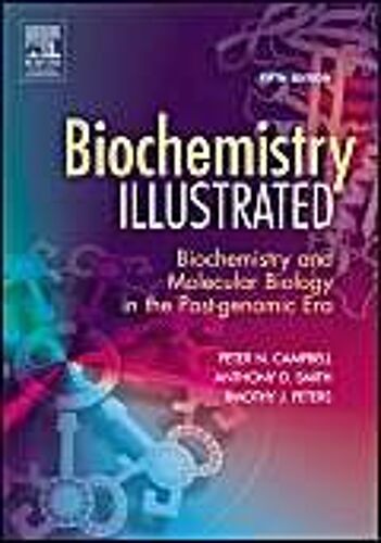 Biochemistry Illustrated - Biochemistry And Molecular Biology In The Post-Genomic Era