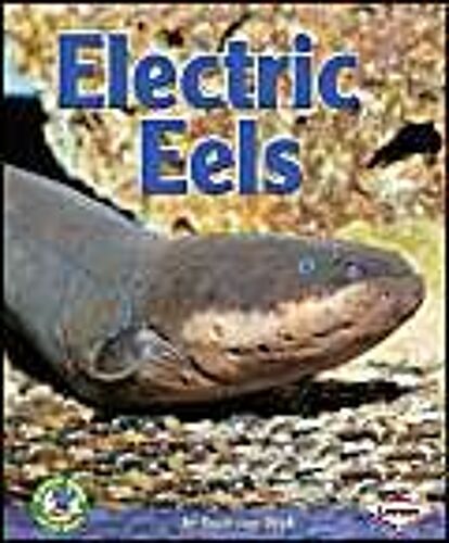 Electric Eels