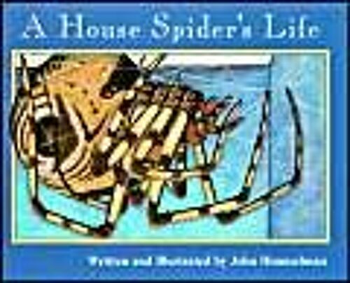 A House Spider's Life (Nature Upclose)