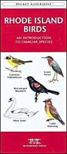 Rhode Island Birds