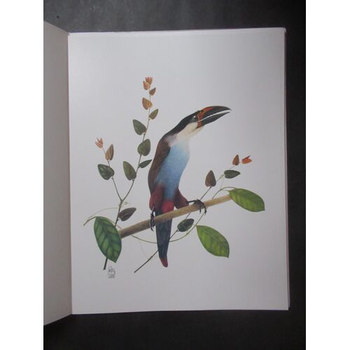 Les Oiseaux De Colombie, Préface De Jean Dorst, Directeur Du Museum National D'histoire Naturelle