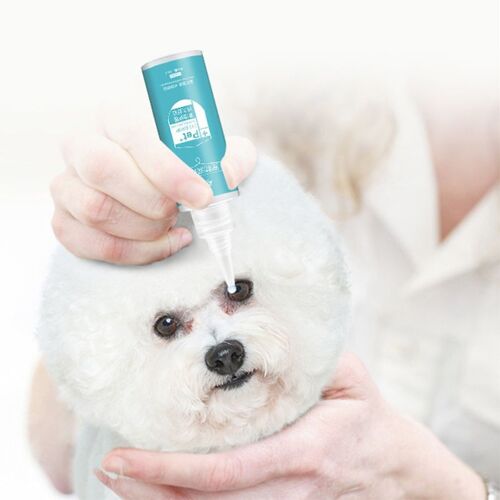 1 Bouteille 60ml Gouttes Pour Les Yeux Pour Animaux De Compagnie Chiens Chats Yeux Larme Détachant Saleté Éliminer Soins K9fa Lasj884
