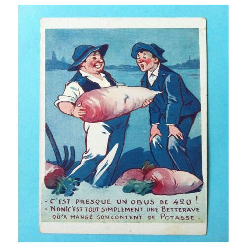 Betterave Et Potasse D'alsace