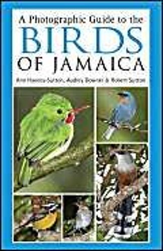 A Photographic Guide To The Birds Of Jamaica