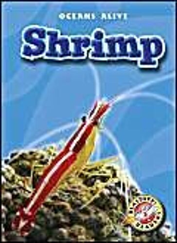 Shrimp