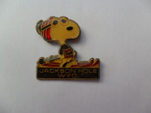 Pin's Jackson Hole Wyo