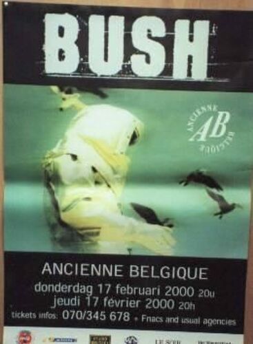 Bush - Affiche Musique / Concert / Poster