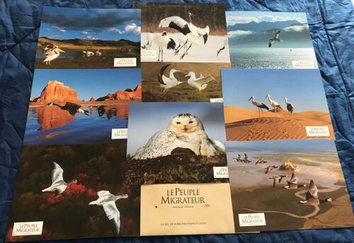 Le Peuple Migrateur - Jeu De Photos D'exploitation Cinématographique - Format 21x28 Cm - Un Film De Jacques Perrin - Année 2001