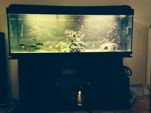 Aquarium Complet 360 Litres