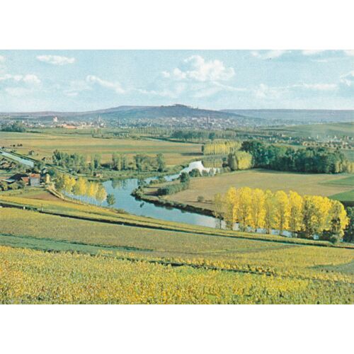 Moet Et Chandon - Hautevilliers Vue De La Marne