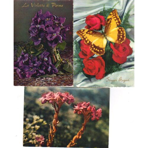 Lot De 3 Cartes Postales, Thème : Fleurs Et Papillon°°
