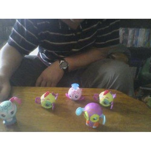 Petshop - Poisson