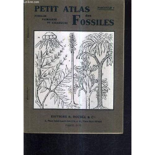 Petit Atlas Des Fossiles - Fascicule 1 : Fossiles Primaires Et Triasiques / 2e Edition.