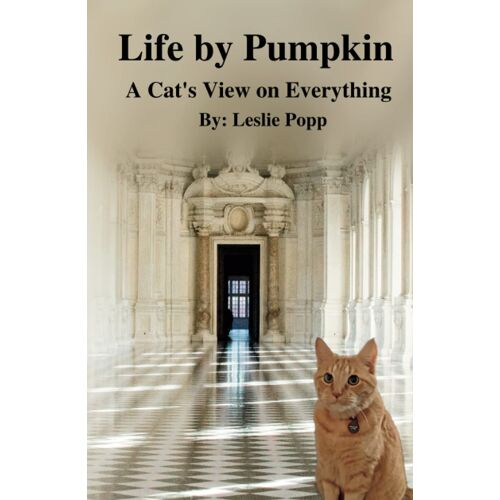 Life By Pumpkin: A Cat's View On Everything