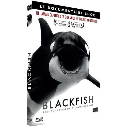 Blackfish
