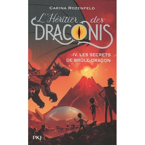 L'héritier Des Draconis - Tome 4 - Les Secrets De Brûle-Dragon