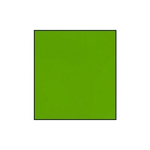 Faber Castell Polychromos Artistes Couleur Crayon - Earth Vert Jauneish