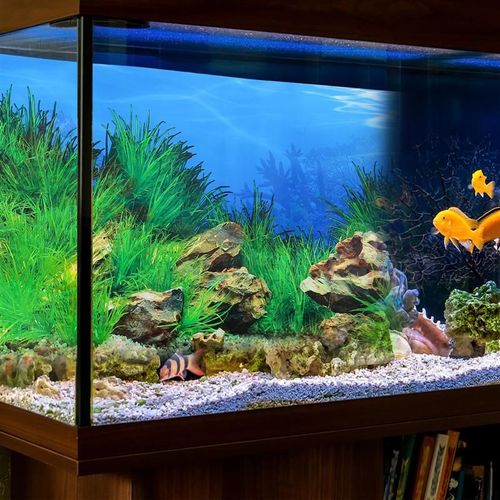 Autocollant De Fond D'aquarium 3d Double Face, Autocollant Mural De Décor De Réservoir De Poissons, Diy Bricolage