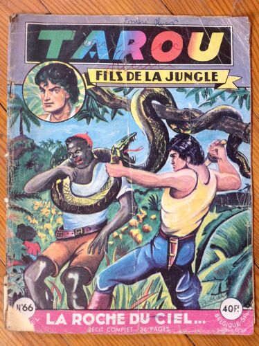 Tarou   Fils De La Jungle Recit Complet  N° 66 : La Roche Du Ciel