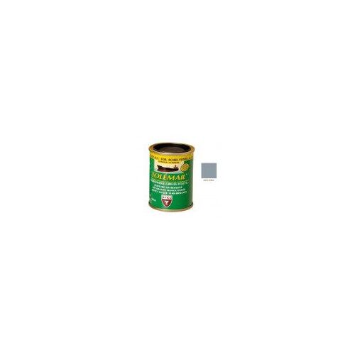 Peinture TOLEMAIL Ferronnerie 100 ml GRIS PERLE