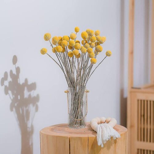 40pcs séché Craspedia Fleurs séchées Boules de boutons Fleurs, bouquet de fleurs séchées pour arrangements Wedd