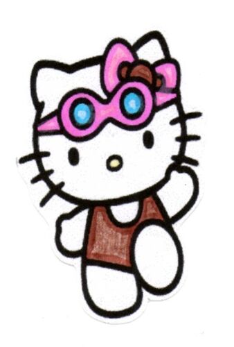 Lot De 50 Punchs Hello Kitty Piscine