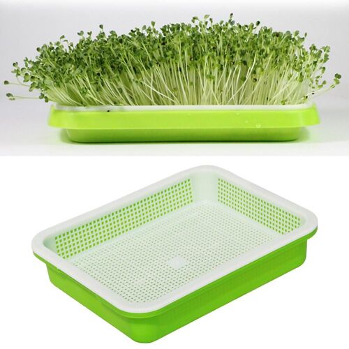 Plats À Double Couche Pour Germes De Haricots, Assiette De Semis, Panier De Fleurs Hydroponiques En Plastique, Pots De Pépinière De Jardin À La Maison, 1 Pièce