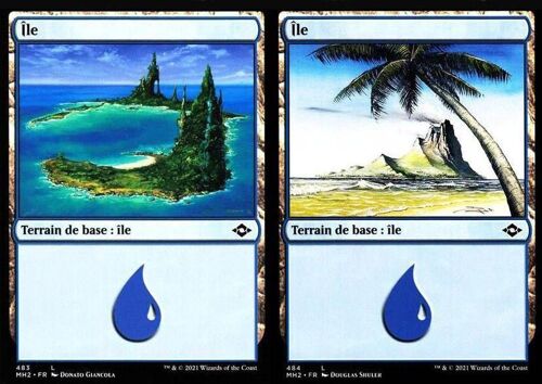 Île X2 - Mtg - Deck Bundle - Horizons Du Modern 2 - C - 483-484