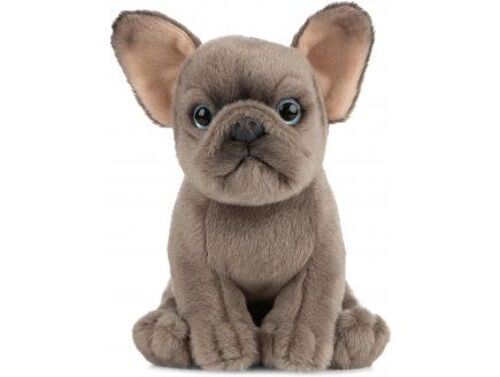 Peluche Chiot Bouledogue 18 Cm - Chien - Doudou Animal - Set Doudou Animaux + 1 Carte