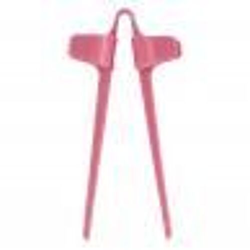 Carmina Burana - Mozarteum Salzburg