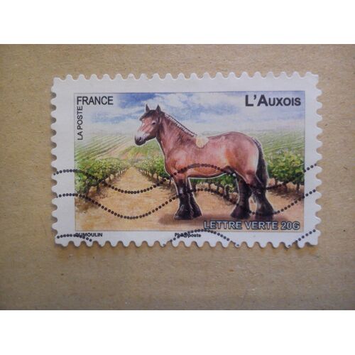 Chevaux De Trait Dans Nos Régions