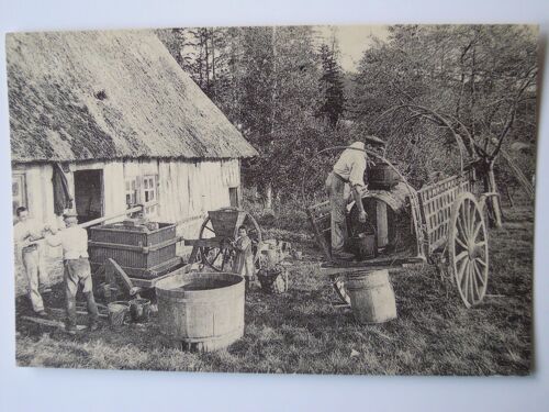 Reproduction Carte Postale Ancienne "Fabrication Du Cidre".