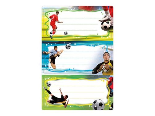 HERMA - Auto-adhésif - blanc, bleu, vert - 76 x 35 mm 6 étiquette(s) (2 feuille(s) x 3 étiquettes pour disquettes