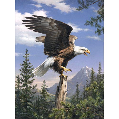 Reeves - 78025 - Loisir Créatif - Collection Artiste - Petit Modèle - Aigle