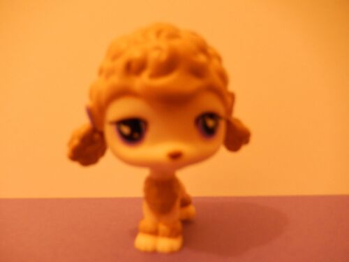 Petshop Chien Caniche N° 736