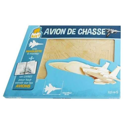 Avion De Chasse