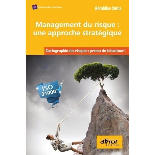 Management Du Risque : Une Approche Stratégique - Cartographie Des Risques : Prenez De La Hauteur !