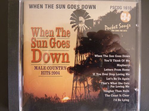 When The Sun Goes Down: Male Country Hits 2004 (Karaoke)