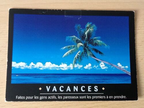 Carte Postale Vacances Mer Et Palmier