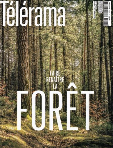 3720. Florence Cestac. Forêt. Lucile Richardot. Marseille. Inégalités. Antoine Maillard.