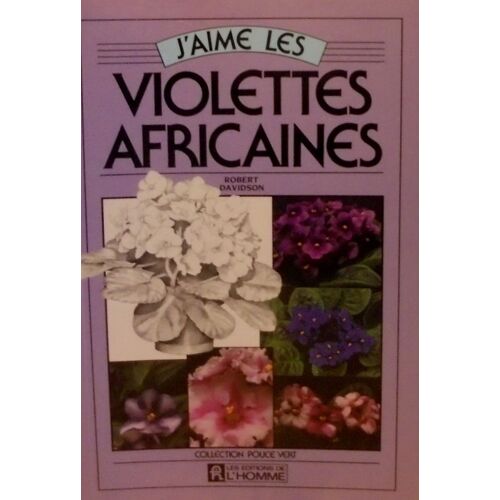 J'aime Les Violettes Africaines
