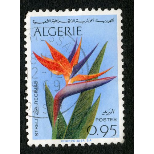 Timbre Oblitéré Algérie, Strelitzia Reginae, Postes, 0.95, Courvoisier