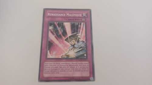 Carte Yu-Gi-Oh! Renaissance Malefique Rgbt-Fr067 2th Édition