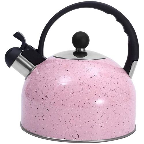 Bouilloire À Thé En Acier Inoxydable 2.5l, À Base Fine, Pour Tout Thé Sur Cuisinière 9109-May14a21360