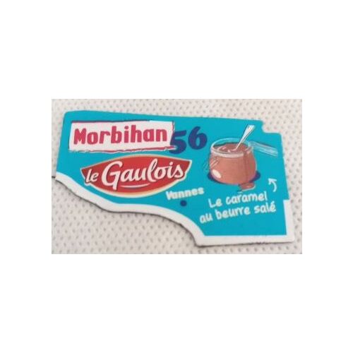Le Gaulois - Magnet 2024 - Morbihan, 56