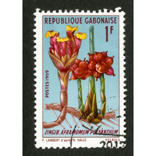 Timbre Oblitéré République Gabonaise, Postes 1969, Zingib. Aframomum Polyanthum, 1 F, Lambert,Delrieu